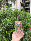 Happy Vibes Glass Can Tumbler - Arteanu By Anushka