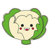 MDF Cabbage Fridge Magnet - Arteanu By Anushka