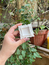 Custom Vintage 3D Frame - Arteanu By Anushka