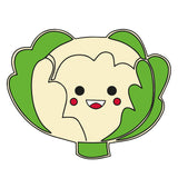 MDF Cabbage Fridge Magnet - Arteanu By Anushka