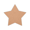 MDF Star Fridge Magnet - Arteanu By Anushka